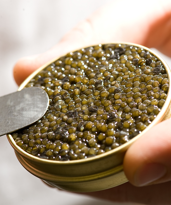 caviar deauville epicerie