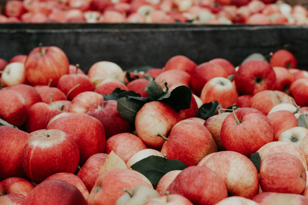 pommes cidre